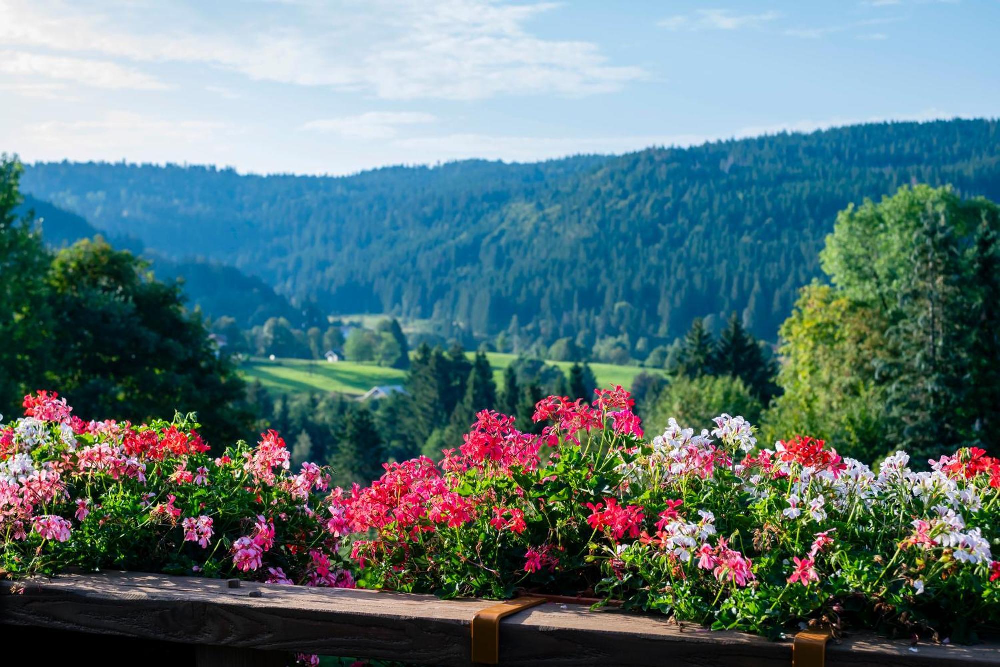 Relais Et Chateaux - Les Bas-Rupts Hotel Gerardmer Exterior photo